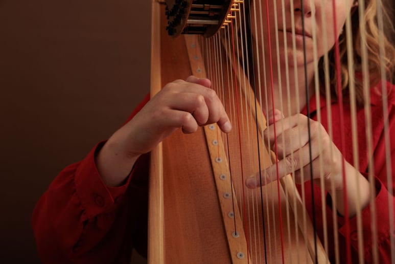 Gallery photo 4 of Martha Mapes, Harpist