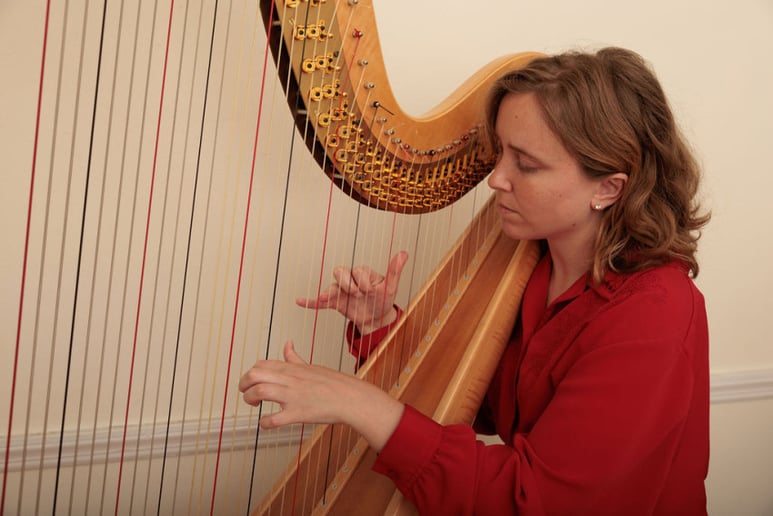 Gallery photo 5 of Martha Mapes, Harpist
