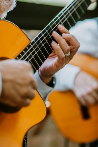 Gallery photo 6 of Martin Metzger ~ Solo, Duo and Ensemble