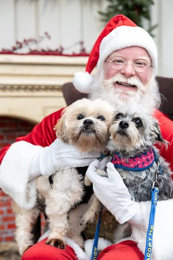 Gallery photo 14 of Marvelous Santas