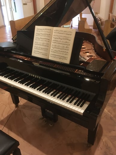 Gallery photo 1 of Mary Carter, pianist