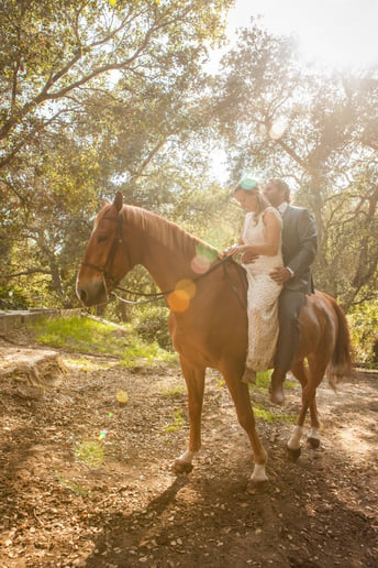 Gallery photo 8 of Mary Redente Photography