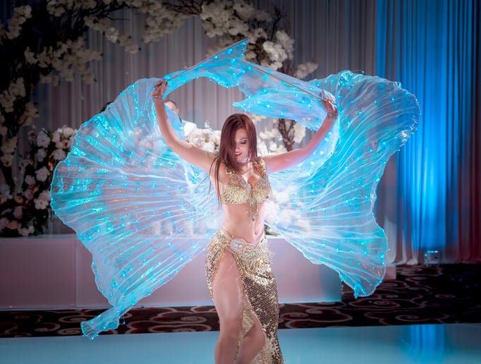 Gallery photo 1 of Mary W Fire and Belly Dancer