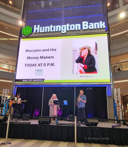 Gallery photo 4 of Maryann and the Money Makers