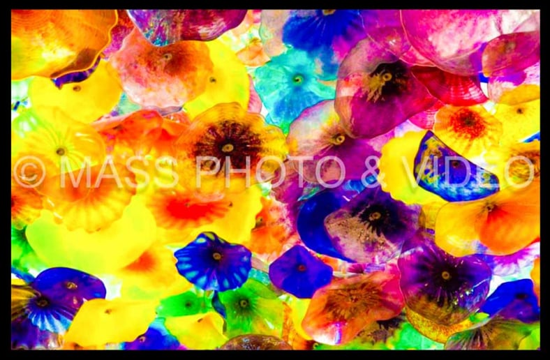 Gallery photo 2 of Mass Photography