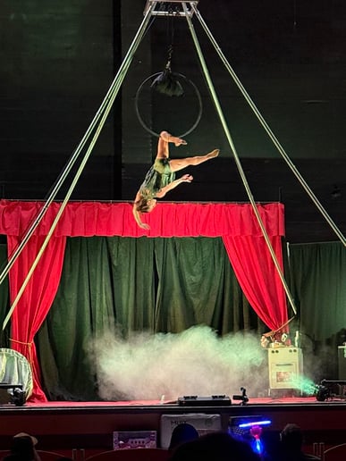 Gallery photo 3 of Masters Family Circus