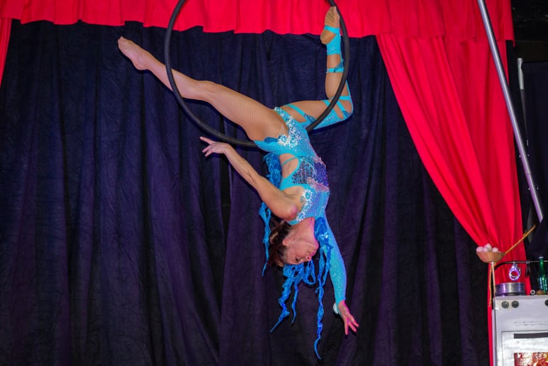 Gallery photo 4 of Masters Family Circus
