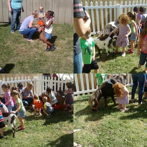 Gallery photo 2 of Masters Petting Zoo