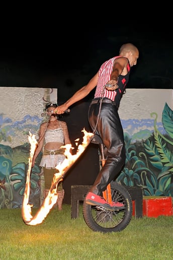 Gallery photo 21 of Matica Circus
