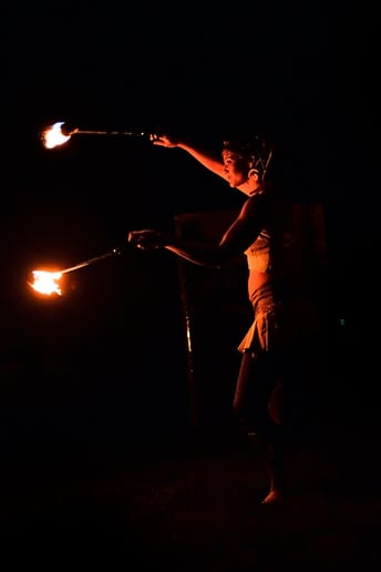 Gallery photo 41 of Matica Circus