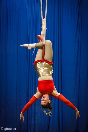 Gallery photo 43 of Matica Circus