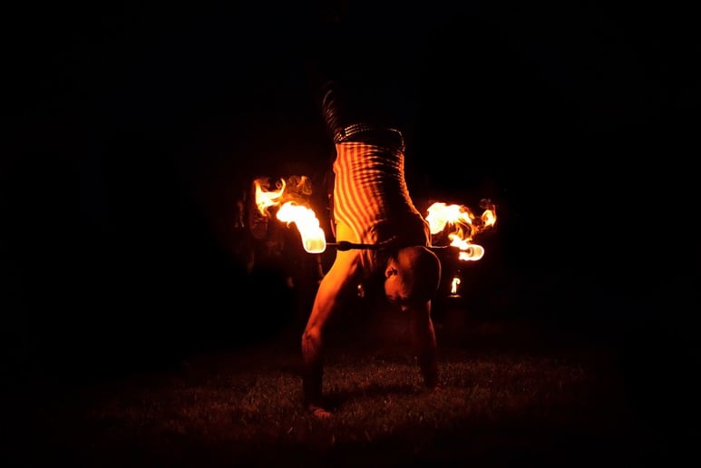 Gallery photo 47 of Matica Circus
