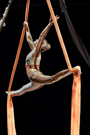 Gallery photo 13 of Matica Circus