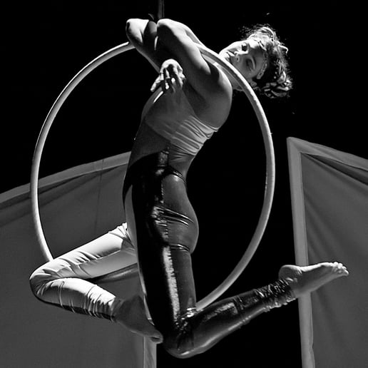 Gallery photo 19 of Matica Circus
