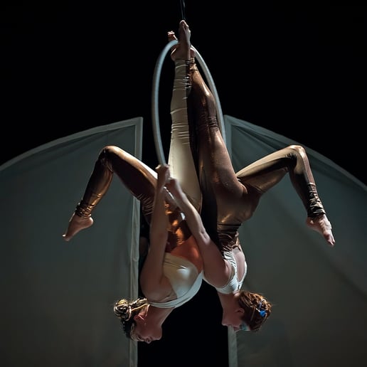 Gallery photo 16 of Matica Circus