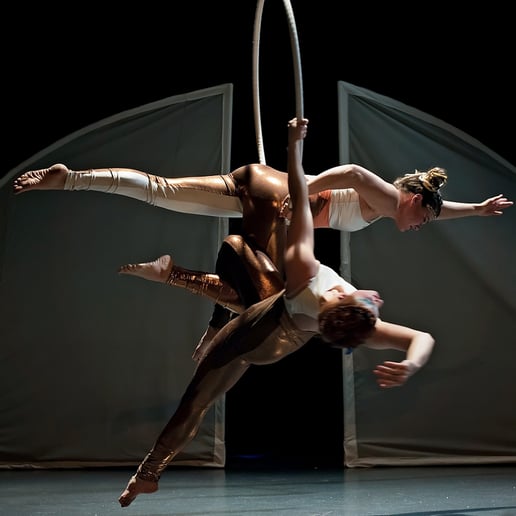 Gallery photo 40 of Matica Circus