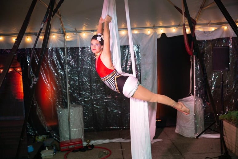 Gallery photo 51 of Matica Circus