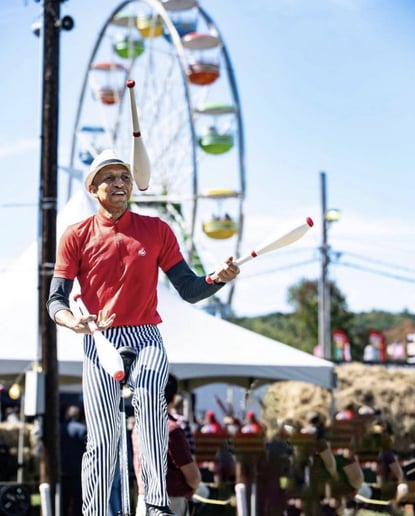 Gallery photo 2 of Matica Circus