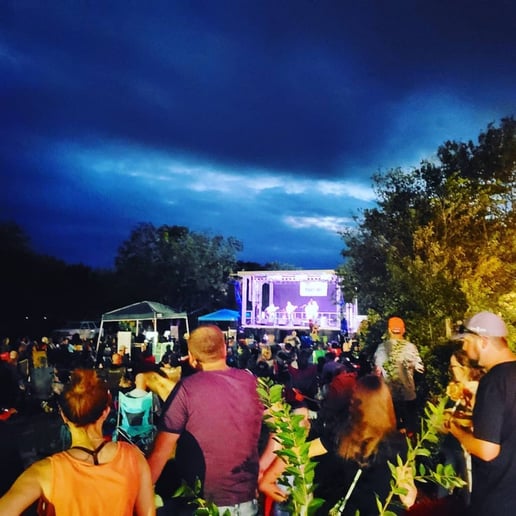 Gallery photo 12 of Hot Pickin 57s