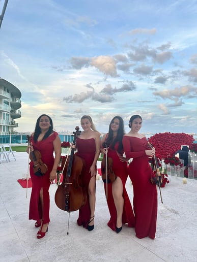 Gallery photo 2 of MC Music for Events