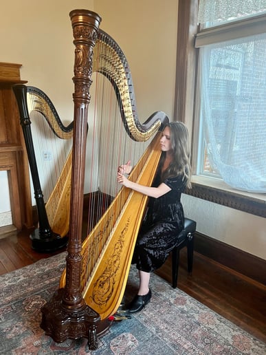 Gallery photo 3 of McClellan Harp Studio
