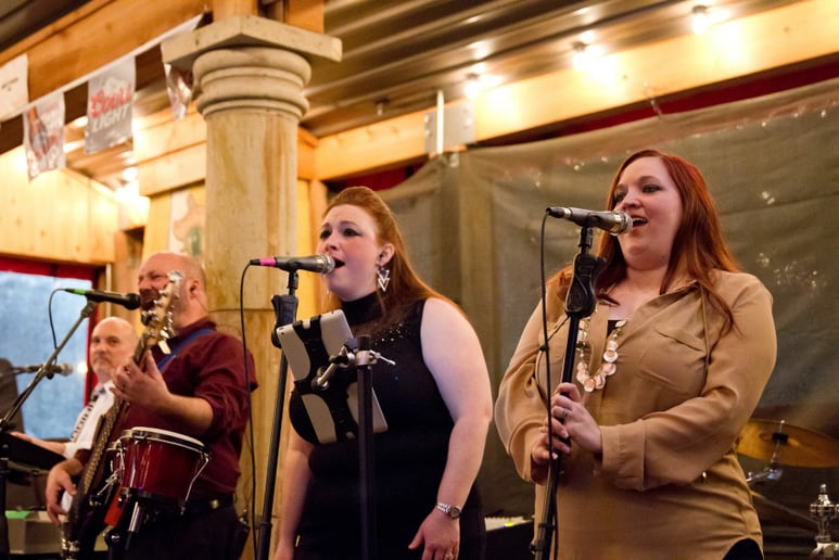 Gallery photo 7 of Texas Heatwave Band