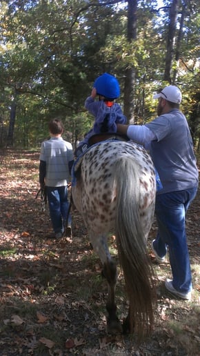 Gallery photo 3 of Meadow Crest Farm Pony Rides