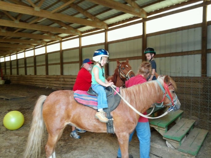 Gallery photo 4 of Meadow Crest Farm Pony Rides