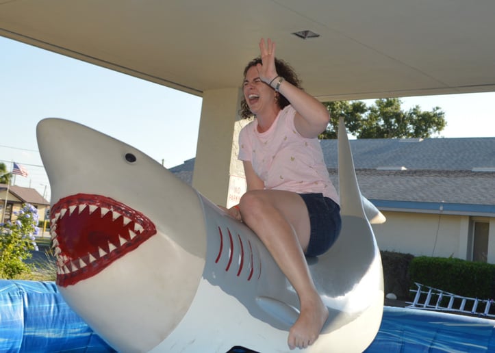 Gallery photo 3 of Mechanical Bulls & More!