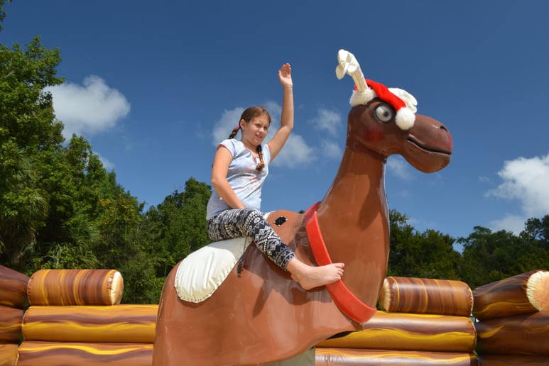 Gallery photo 5 of Mechanical Bulls & More!