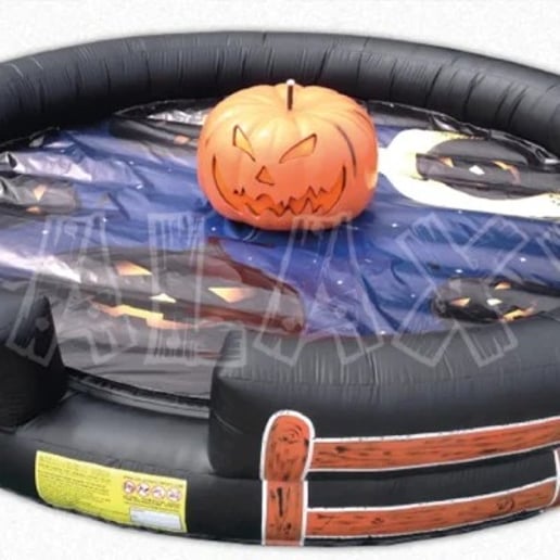Gallery photo 8 of Mechanical Bulls & More!