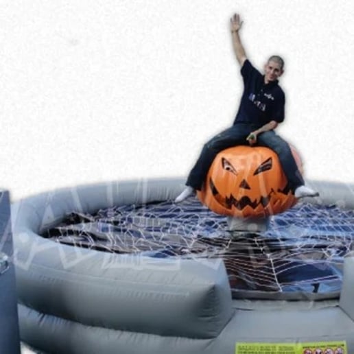 Gallery photo 9 of Mechanical Bulls & More!