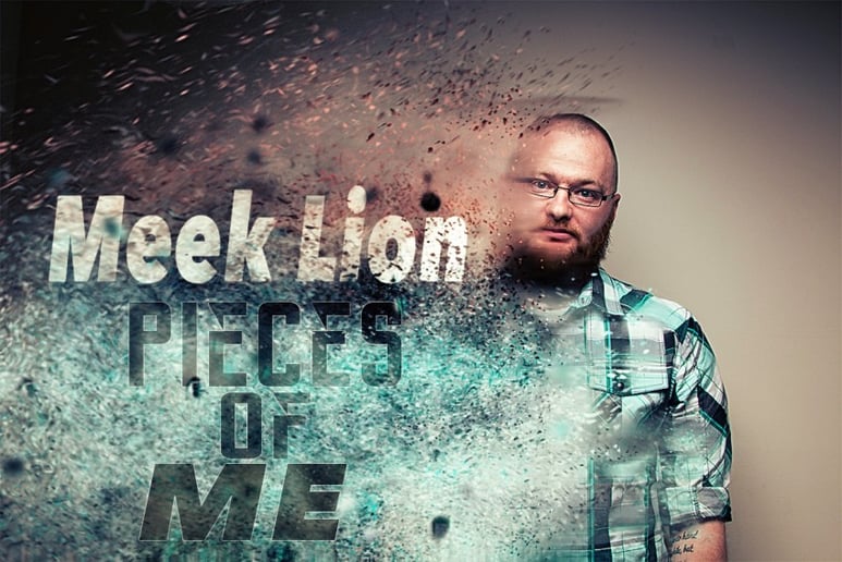 Gallery photo 1 of Meek Lion