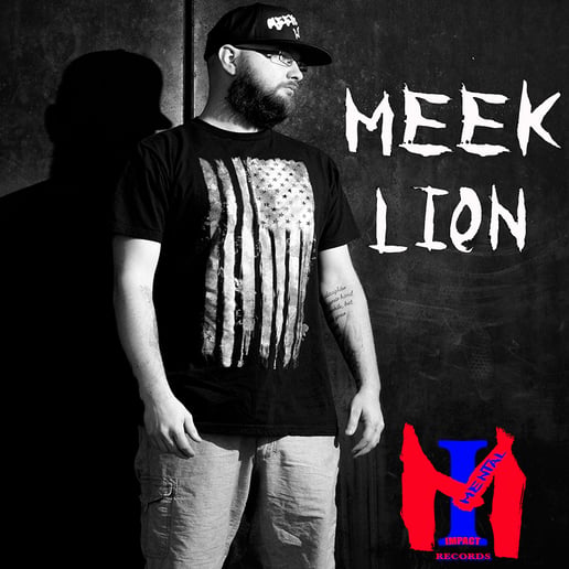 Gallery photo 2 of Meek Lion