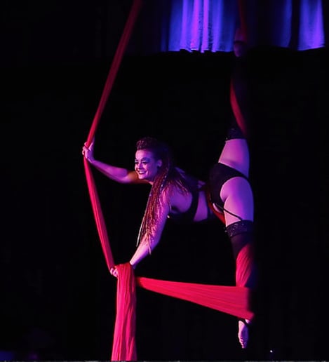Gallery photo 3 of Mega Aerials