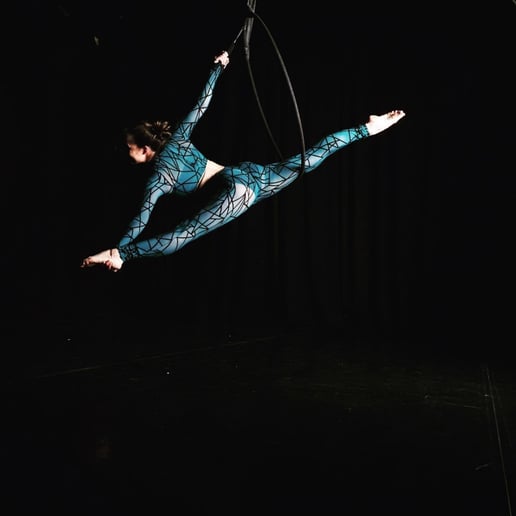 Gallery photo 7 of Mega Aerials