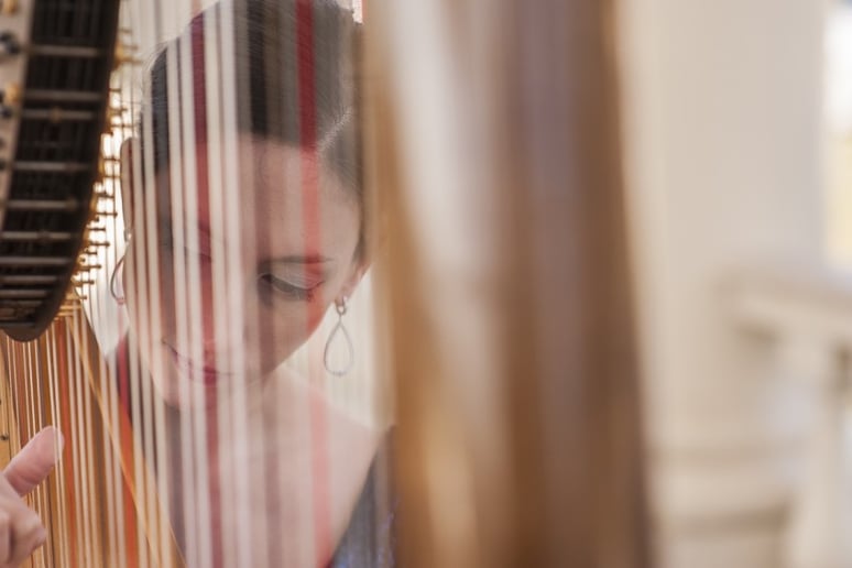 Gallery photo 2 of Meghan Davis, Harpist