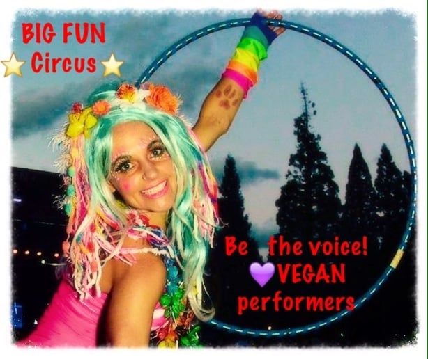 Gallery photo 13 of Big Fun Circus