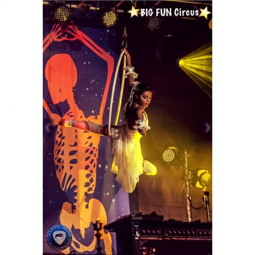 Gallery photo 67 of Big Fun Circus