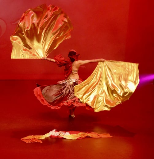 Gallery photo 4 of Melanya Zerpa Bellydance