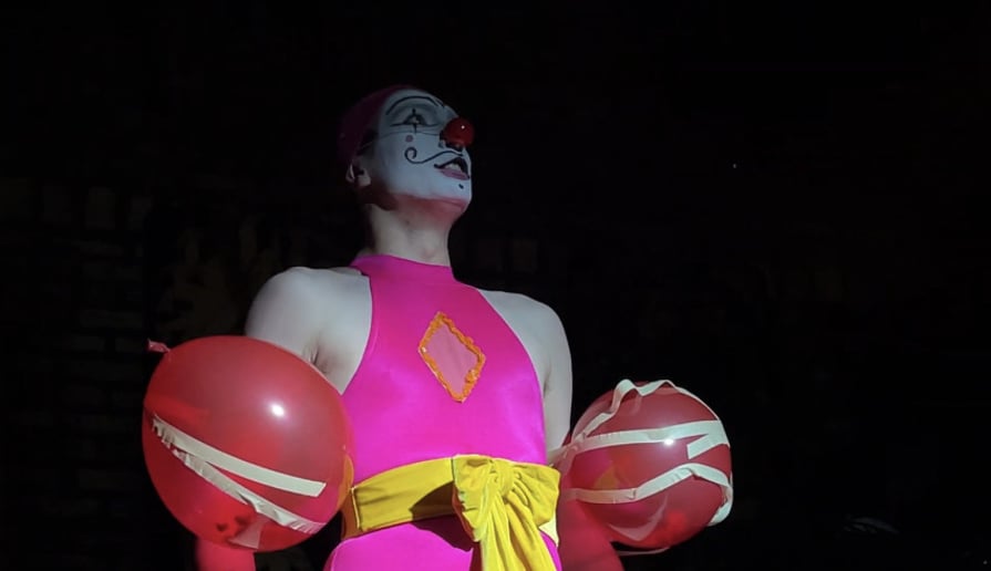 Gallery photo 3 of Dez the Clown