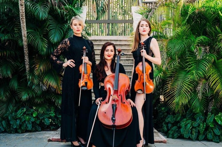 Gallery photo 5 of Melodies Under The Palms