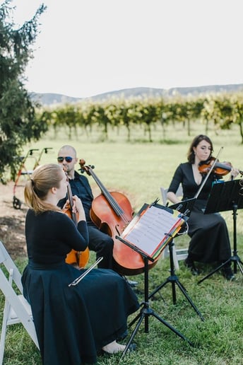 Gallery photo 8 of Melodious Strings Quartet