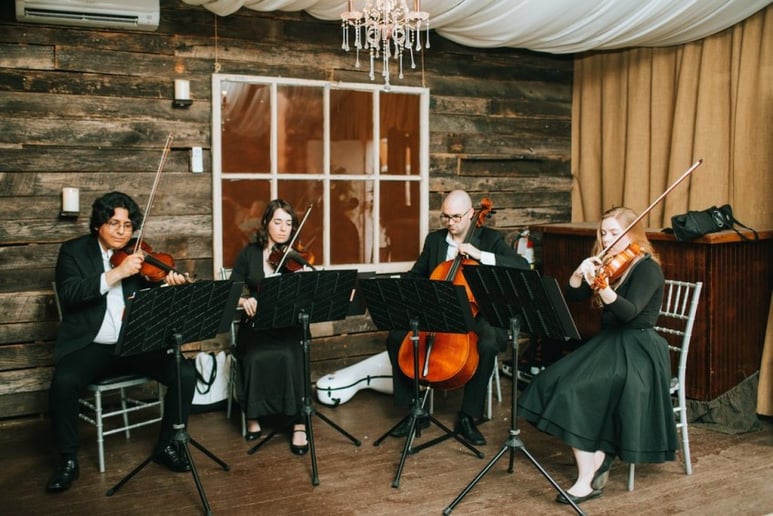 Gallery photo 7 of Melodious Strings Quartet