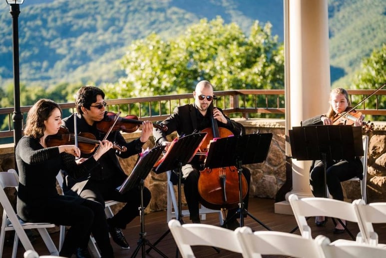 Gallery photo 9 of Melodious Strings Quartet