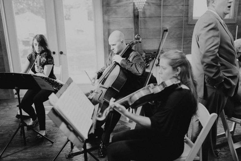 Gallery photo 5 of Melodious Strings Quartet