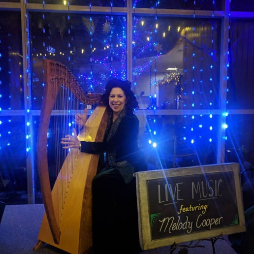 Gallery photo 8 of Melody Cooper Music