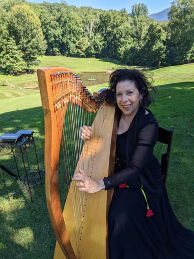 Gallery photo 13 of Melody Cooper Music