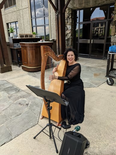 Gallery photo 16 of Melody Cooper Music