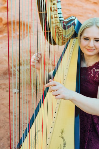 Gallery photo 5 of Melody in Flight, Harpist